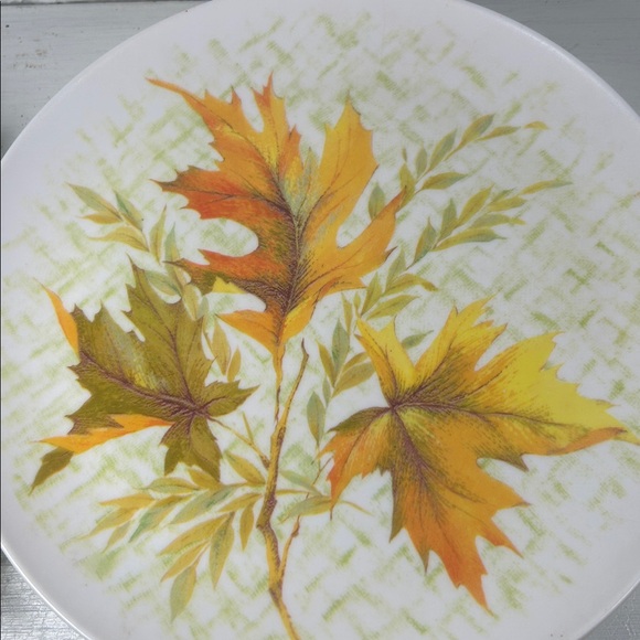 Autumn Leaf Dinner Plates - Set of 6 (White with Orange & Green) - Picture 7 of 9